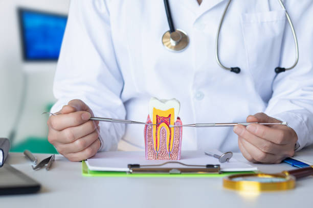Best Emergency Denture Repair in Hilliard, FL